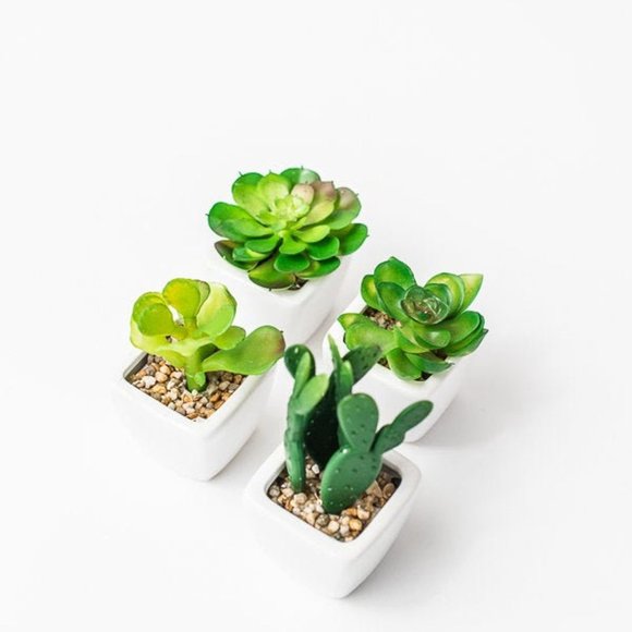 Set of 4 Artificial Succulent Planter Pots - Picture 5 of 5